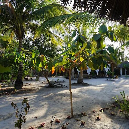 Dreams Of Mapacha Bed and Breakfast Michamvi Esterno foto