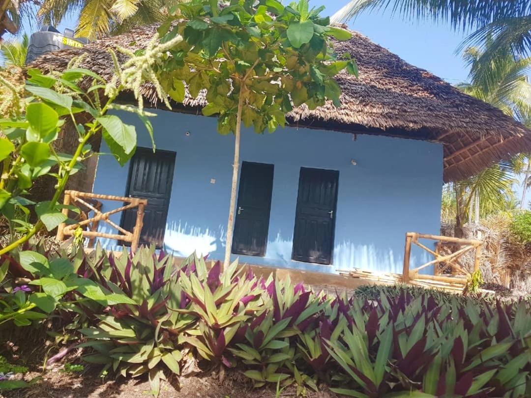 Dreams Of Mapacha Bed and Breakfast Michamvi Esterno foto