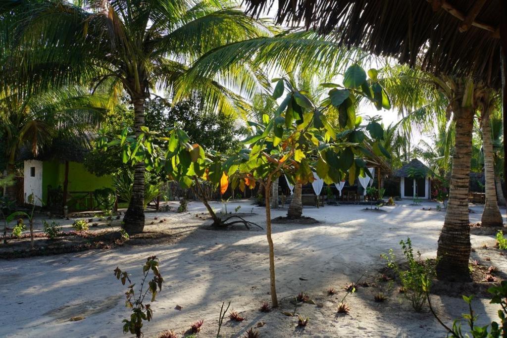 Dreams Of Mapacha Bed and Breakfast Michamvi Esterno foto