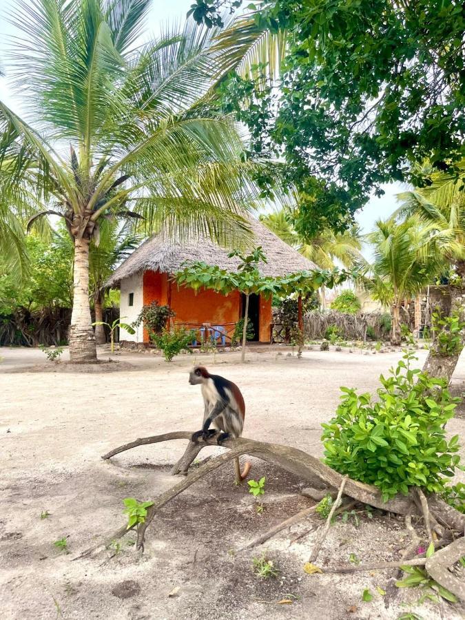 Dreams Of Mapacha Bed and Breakfast Michamvi Esterno foto