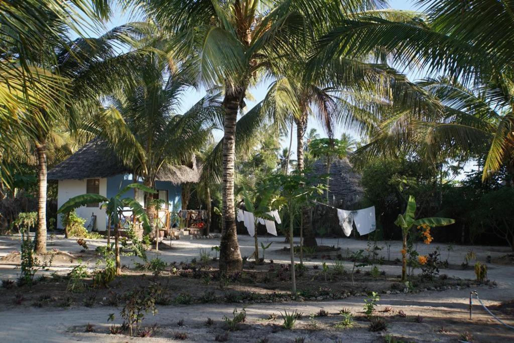 Dreams Of Mapacha Bed and Breakfast Michamvi Esterno foto