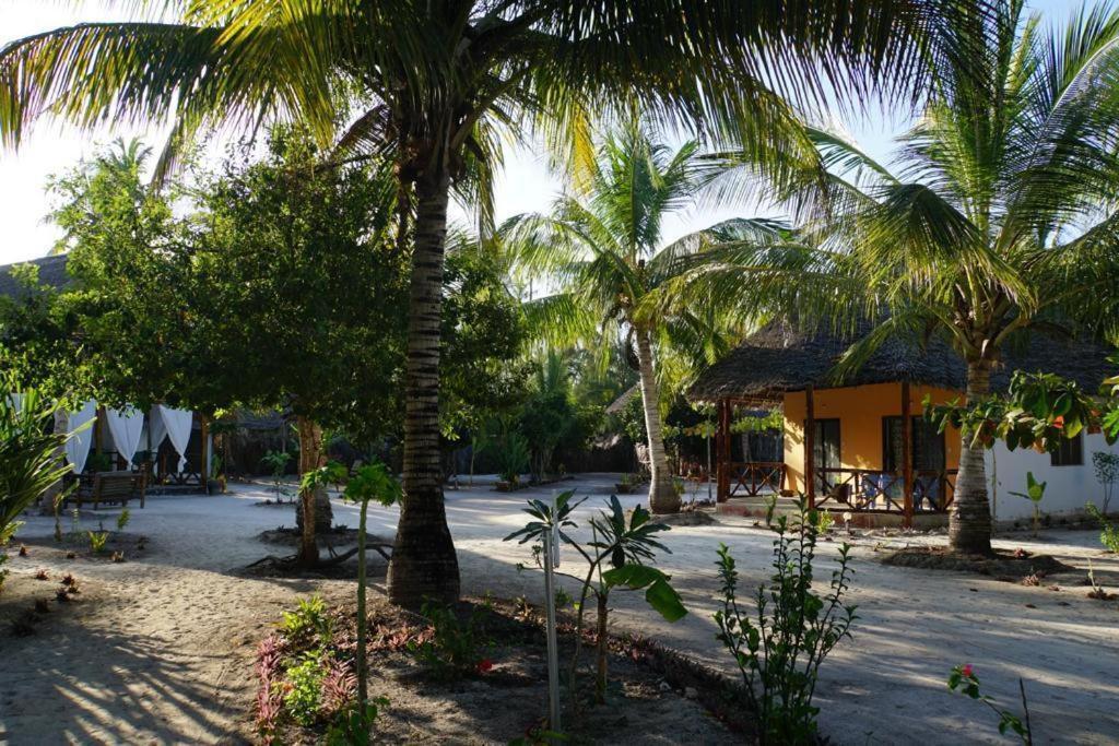 Dreams Of Mapacha Bed and Breakfast Michamvi Esterno foto