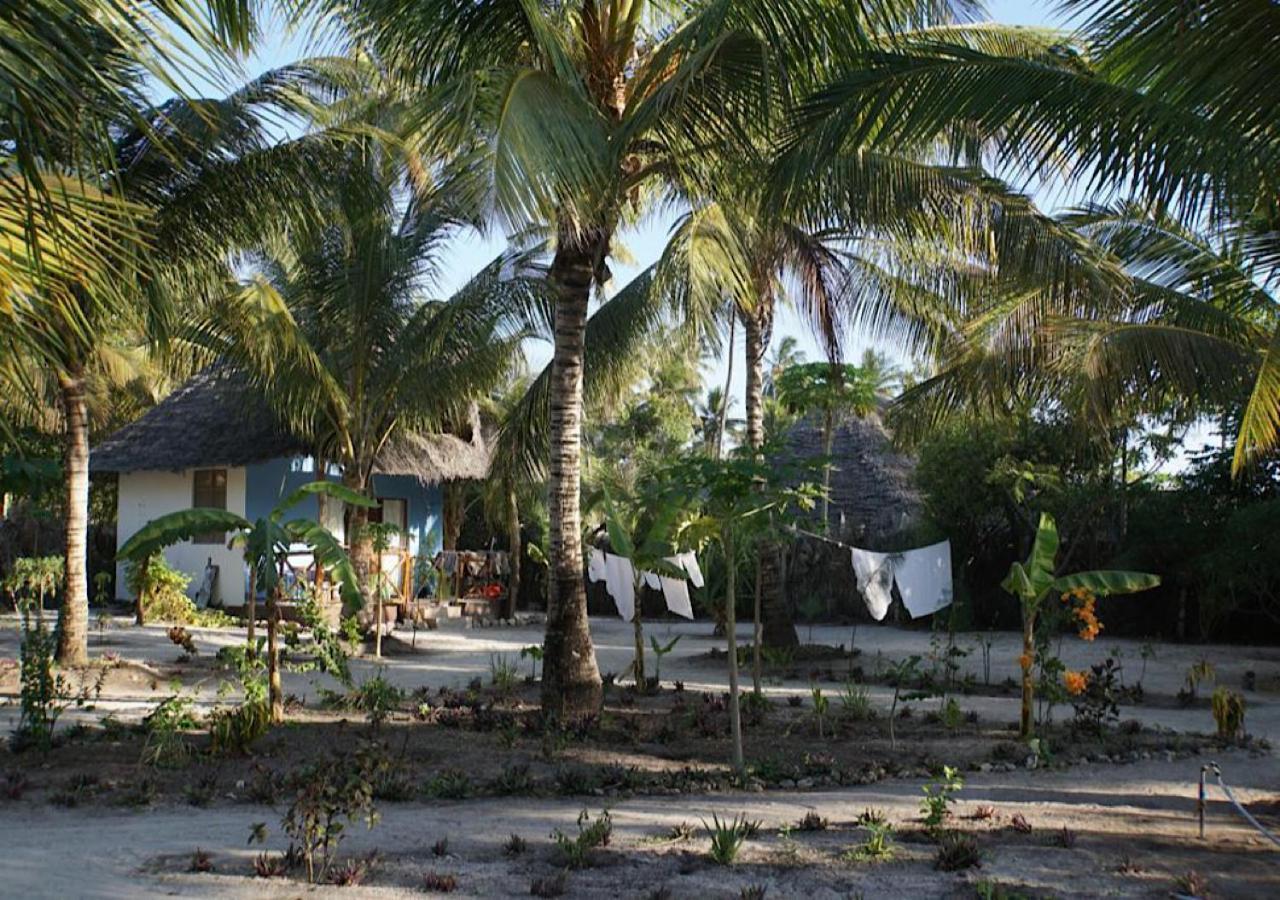 Dreams Of Mapacha Bed and Breakfast Michamvi Esterno foto
