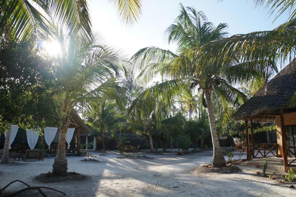 Dreams Of Mapacha Bed and Breakfast Michamvi Esterno foto