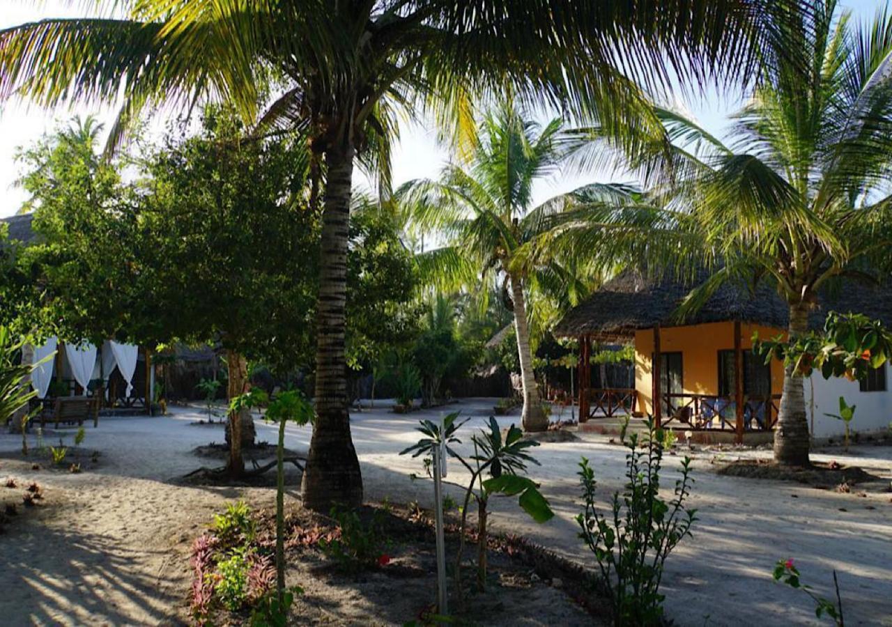 Dreams Of Mapacha Bed and Breakfast Michamvi Esterno foto