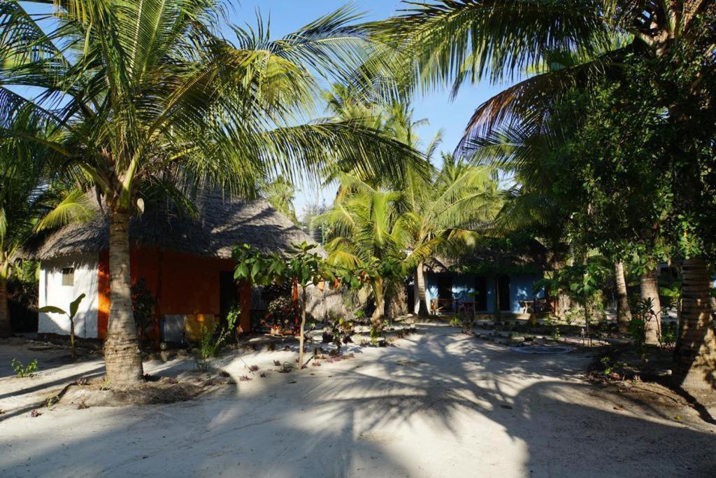 Dreams Of Mapacha Bed and Breakfast Michamvi Esterno foto