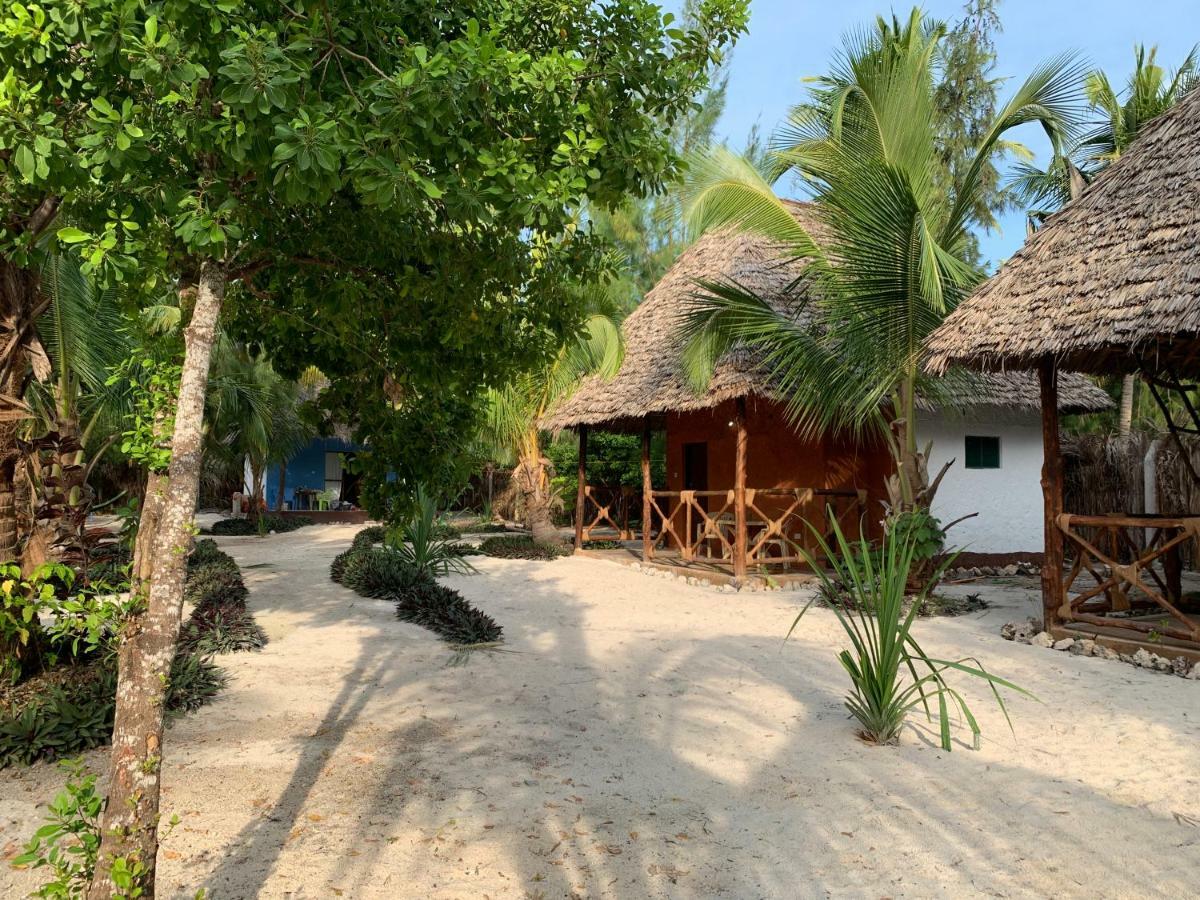 Dreams Of Mapacha Bed and Breakfast Michamvi Esterno foto