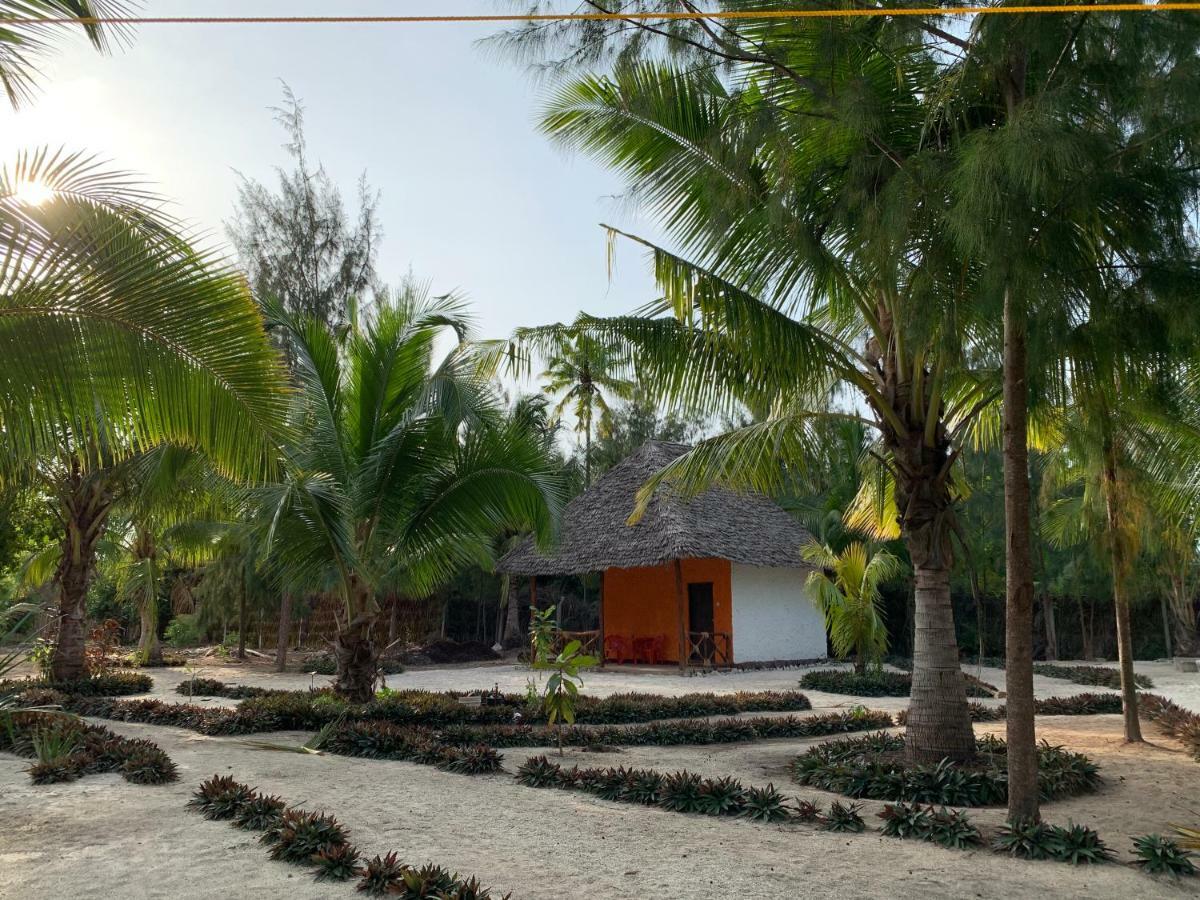 Dreams Of Mapacha Bed and Breakfast Michamvi Esterno foto